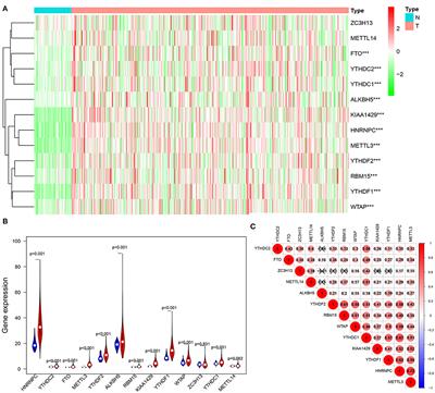 Expression Pattern and Prognostic Value of Key Regulators for m6A RNA Modification in Hepatocellular Carcinoma